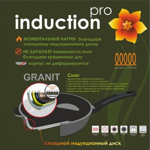 Induction_Pro4